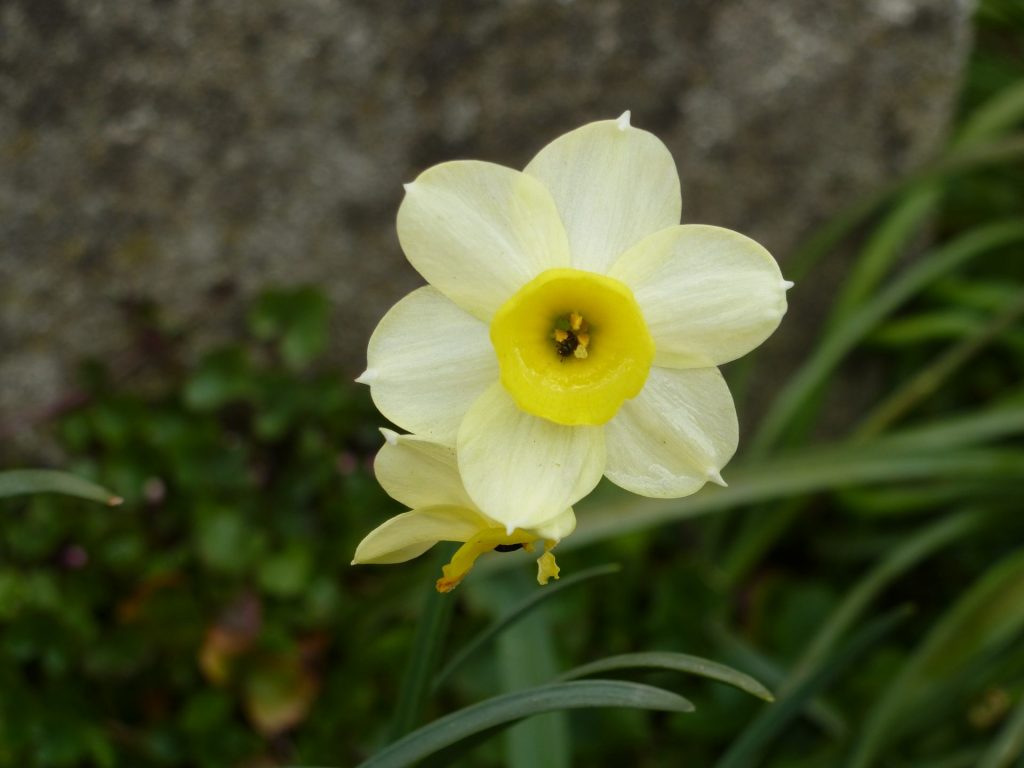 Soutenez votre communauté ! Appel de printemps